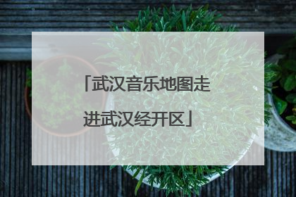 武汉音乐地图走进武汉经开区