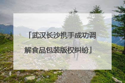 武汉长沙携手成功调解食品包装版权纠纷