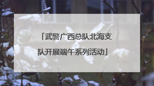 武警广西总队北海支队开展端午系列活动