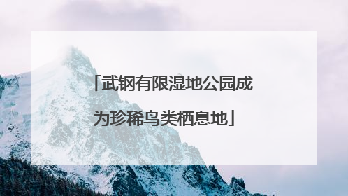 武钢有限湿地公园成为珍稀鸟类栖息地