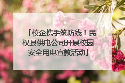 校企携手筑防线！民权县供电公司开展校园安全用电宣教活动