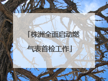 株洲全面启动燃气表首检工作