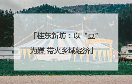 桂东新坊：以“豆”为媒 带火乡域经济