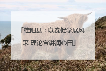 桂阳县：以赛促学展风采 理论宣讲润心田