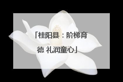 桂阳县：阶梯育德 礼润童心