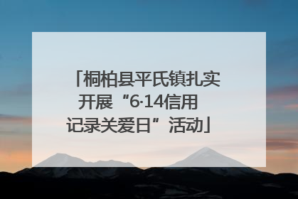 桐柏县平氏镇扎实开展“6·14信用记录关爱日”活动