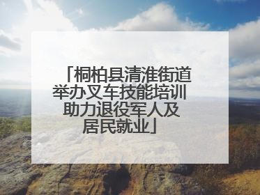 桐柏县清淮街道举办叉车技能培训 助力退役军人及居民就业