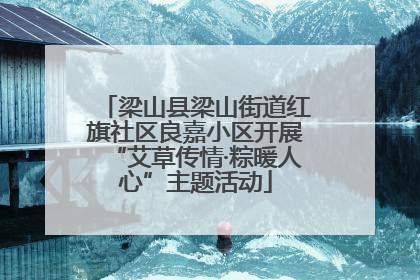 梁山县梁山街道红旗社区良嘉小区开展“艾草传情·粽暖人心”主题活动