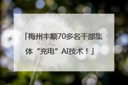 梅州丰顺70多名干部集体“充电”AI技术！