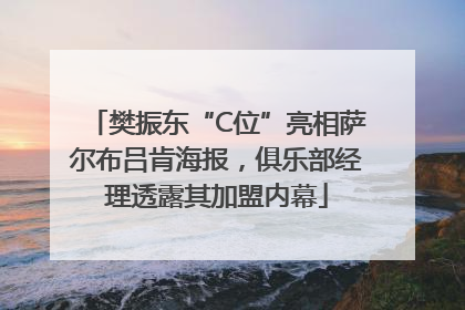 樊振东“C位”亮相萨尔布吕肯海报，俱乐部经理透露其加盟内幕