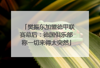 樊振东加盟德甲联赛幕后：德国俱乐部称一切来得太突然