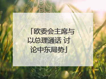 欧委会主席与以总理通话 讨论中东局势