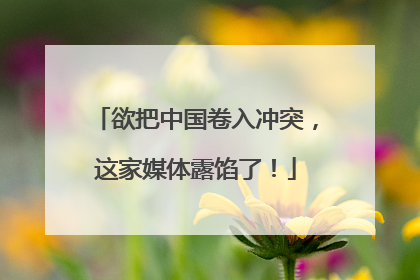 欲把中国卷入冲突，这家媒体露馅了！