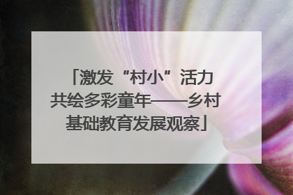 激发“村小”活力 共绘多彩童年——乡村基础教育发展观察