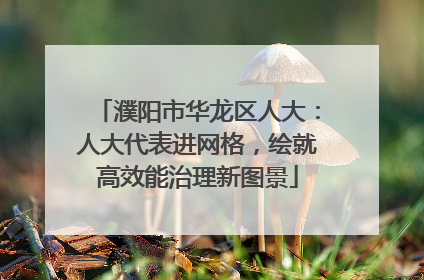 濮阳市华龙区人大：人大代表进网格，绘就高效能治理新图景