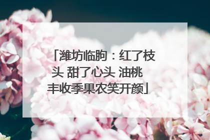 潍坊临朐：红了枝头 甜了心头 油桃丰收季果农笑开颜