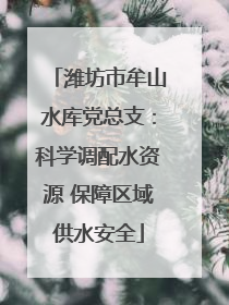 潍坊市牟山水库党总支：科学调配水资源 保障区域供水安全