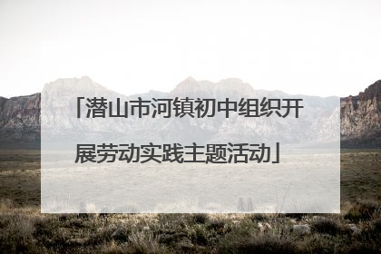潜山市河镇初中组织开展劳动实践主题活动