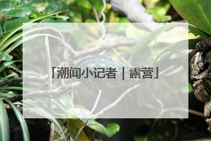 潮闻小记者｜露营