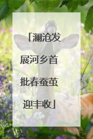 澜沧发展河乡首批春蚕茧迎丰收