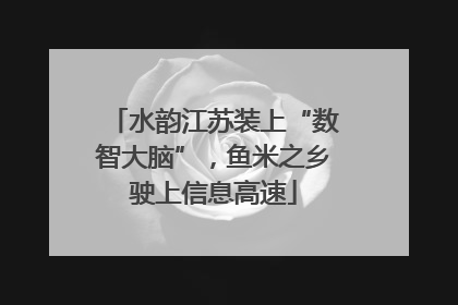 水韵江苏装上“数智大脑”，鱼米之乡驶上信息高速