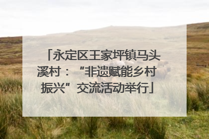 永定区王家坪镇马头溪村：“非遗赋能乡村振兴”交流活动举行