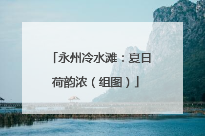 永州冷水滩：夏日荷韵浓（组图）