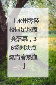 永州零陵校园足球盛会落幕，36场对决点燃青春热血