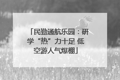 民勤通航乐园：研学“热”力十足 低空游人气爆棚