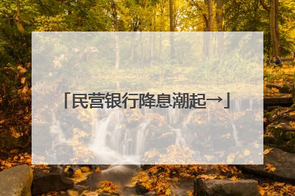 民营银行降息潮起→