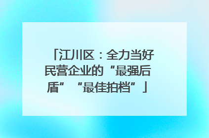 江川区：全力当好民营企业的“最强后盾”“最佳拍档”