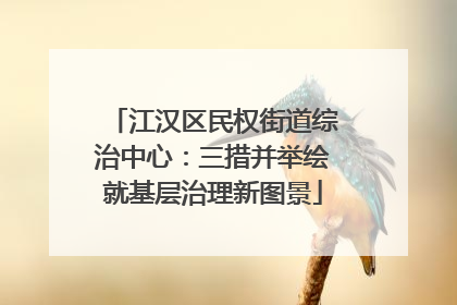 江汉区民权街道综治中心：三措并举绘就基层治理新图景