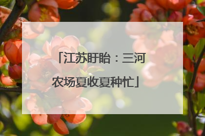 江苏盱眙：三河农场夏收夏种忙