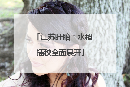 江苏盱眙：水稻插秧全面展开