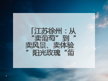 江苏徐州：从“卖葡萄”到“卖风景、卖体验”阳光玫瑰“葡”就致富路