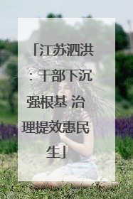 江苏泗洪：干部下沉强根基 治理提效惠民生