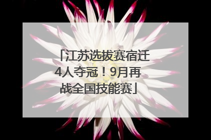 江苏选拔赛宿迁4人夺冠！9月再战全国技能赛