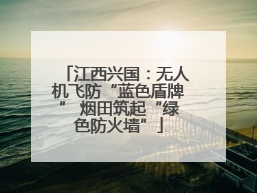 江西兴国：无人机飞防“蓝色盾牌” 烟田筑起“绿色防火墙”