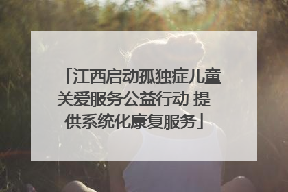 江西启动孤独症儿童关爱服务公益行动 提供系统化康复服务