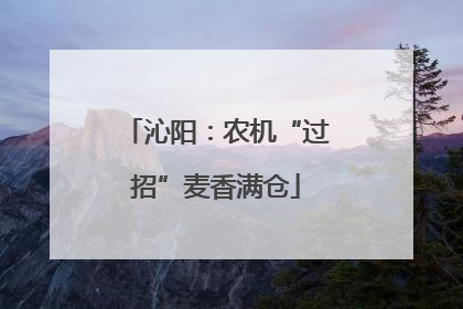 沁阳：农机“过招”麦香满仓