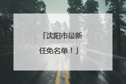 沈阳市最新任免名单！