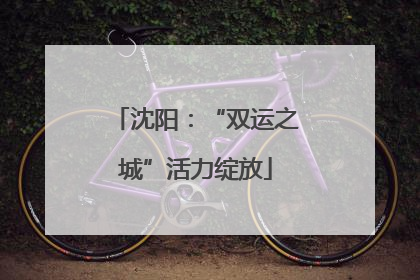 沈阳：“双运之城”活力绽放