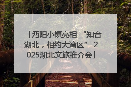 沔阳小镇亮相 “知音湖北,相约大湾区” 2025湖北文旅推介会