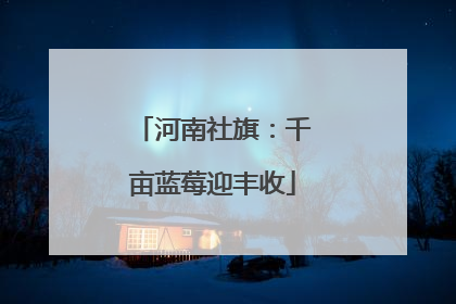 河南社旗：千亩蓝莓迎丰收