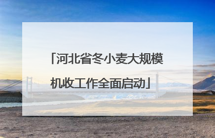 河北省冬小麦大规模机收工作全面启动