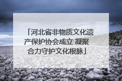 河北省非物质文化遗产保护协会成立 凝聚合力守护文化根脉