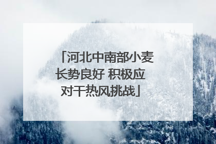 河北中南部小麦长势良好 积极应对干热风挑战