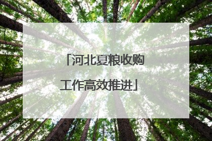 河北夏粮收购工作高效推进