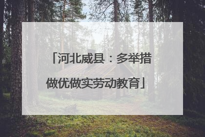 河北威县：多举措做优做实劳动教育
