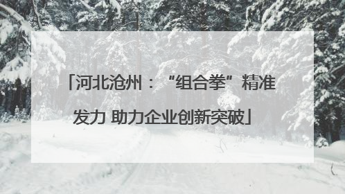 河北沧州：“组合拳”精准发力 助力企业创新突破